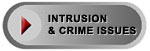 Intrusion and Crimes