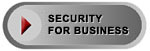 Security for Business