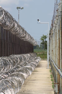 Fence and barbed wire