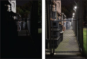 Perimeter Fence Lighting