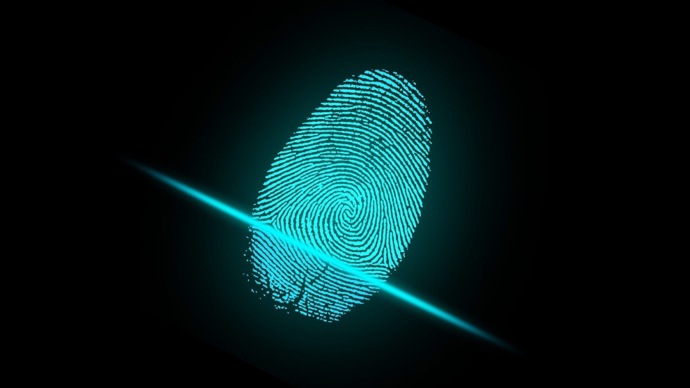 Fingerprint biometrics