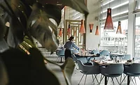 Hotel worker sets table