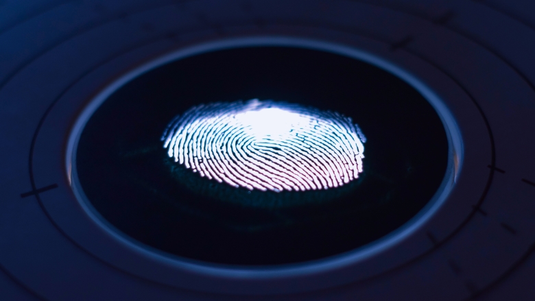Biometric passwordless authentication