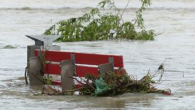 flooding by bench