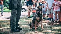 jason-jarrach-2jvxtiGqr8Y-unsplash.jpg k9 unit