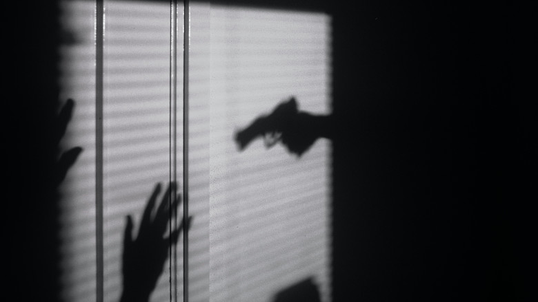 gun-shadow.jpg