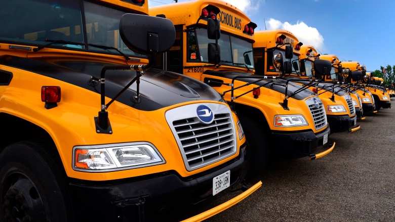 school buses lined up