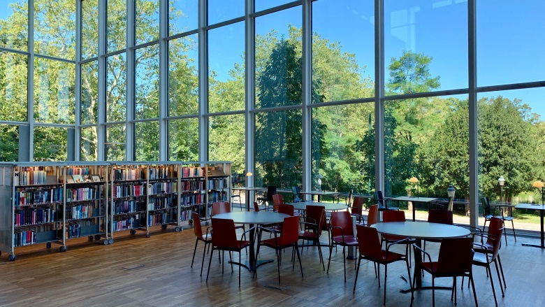 school library with big windows