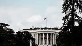 white house behind trees