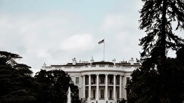 white house behind trees