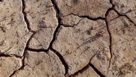 dry and cracked ground