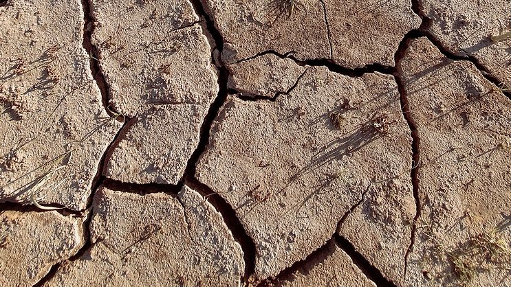 White House announces extreme heat safety plans - Vimarsana News