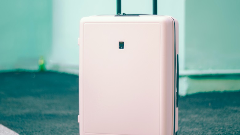 pink suitcase on ground