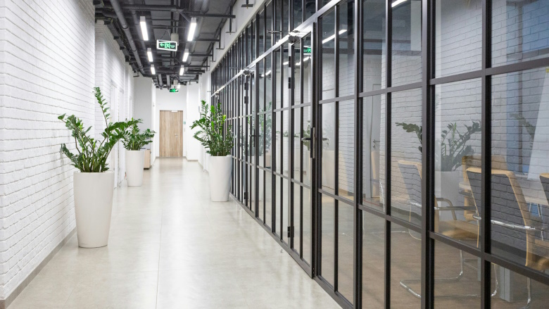 office hallway with glass walls