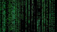 vertical rows of green numbers vertical rows of green numbers