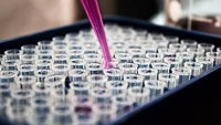 laboratory research laboratory research