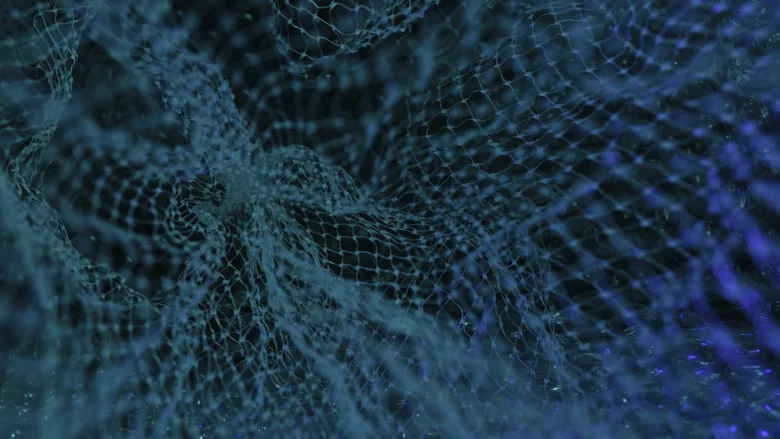 Light blue connections