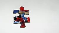 Single jigsaw piece Single jigsaw piece
