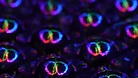 Blue, green, purple and pink circles on dark background Blue, green, purple and pink circles on dark background