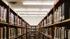 Wooden library shelves full of books