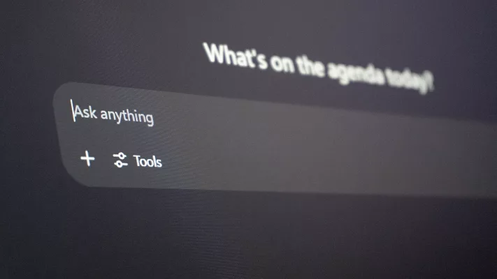 Chatbot prompt screen 