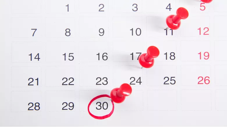 Calendar with pins 