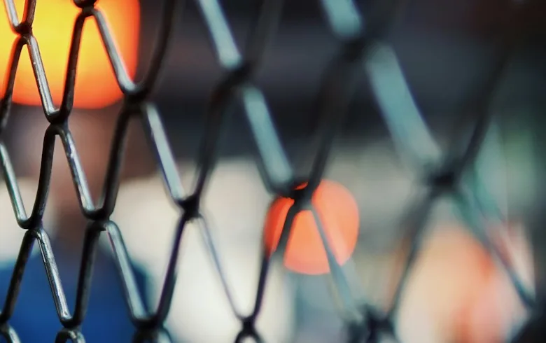 UFC cage 