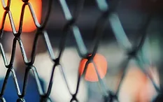 UFC cage