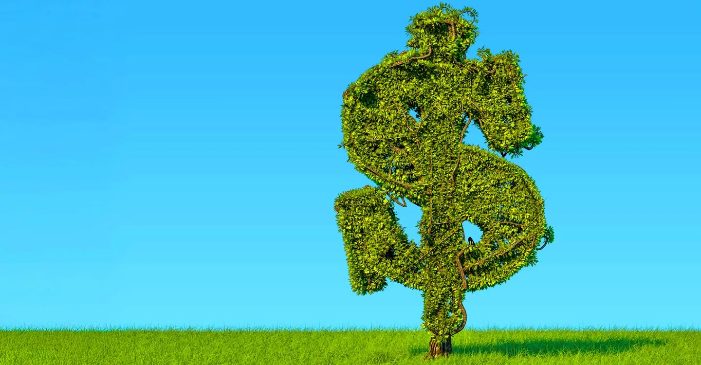 Tree shaped as dollar sign