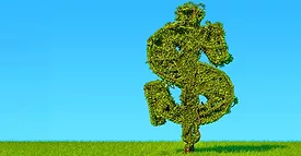 Tree shaped as dollar sign