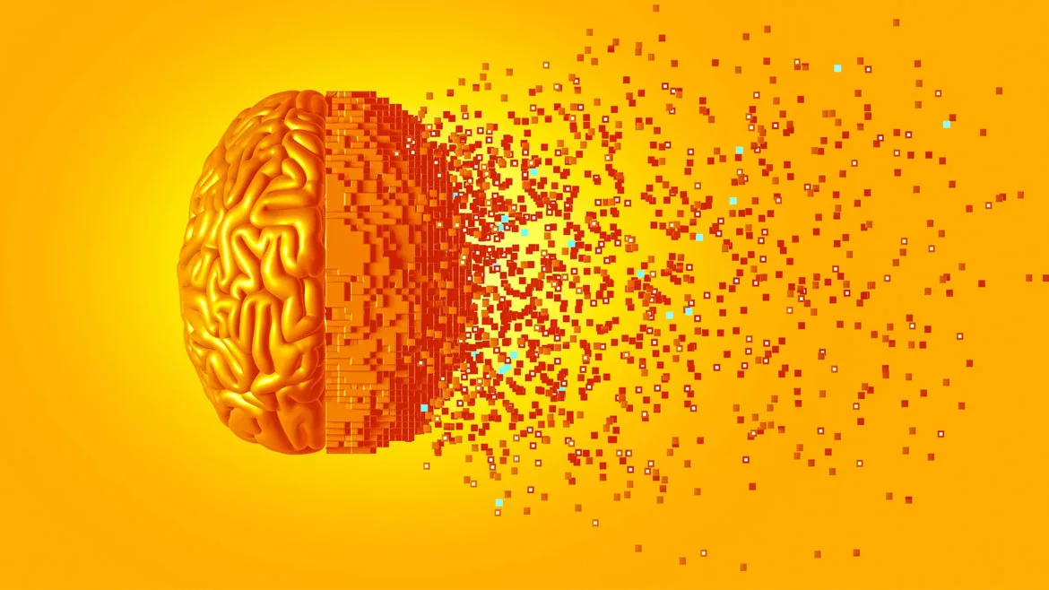 Pixelated brain Pixelated brain