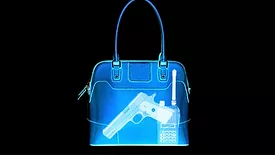 X-ray of gun in purse