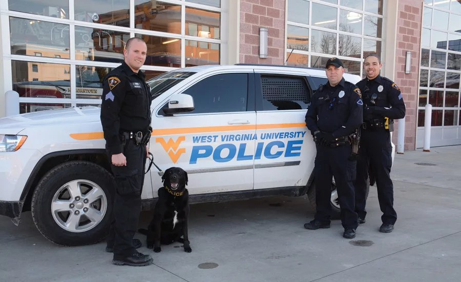 Preventing Aggression and Violence Through Education