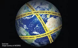 Environmental Crime an Increasing Threat to Security