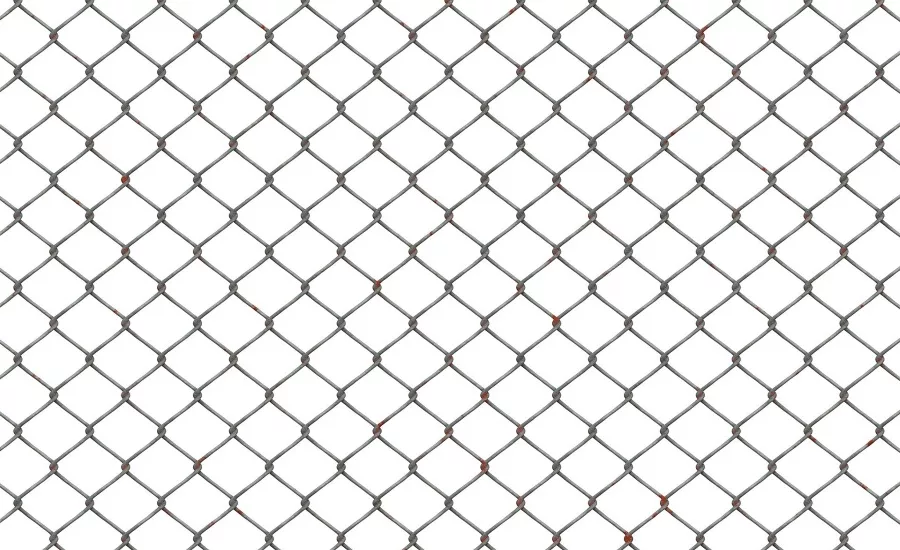 Badger find way into ammunition base of English army