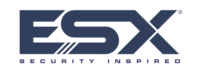 ESX 2021 logo