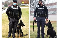 k9 coxhealth