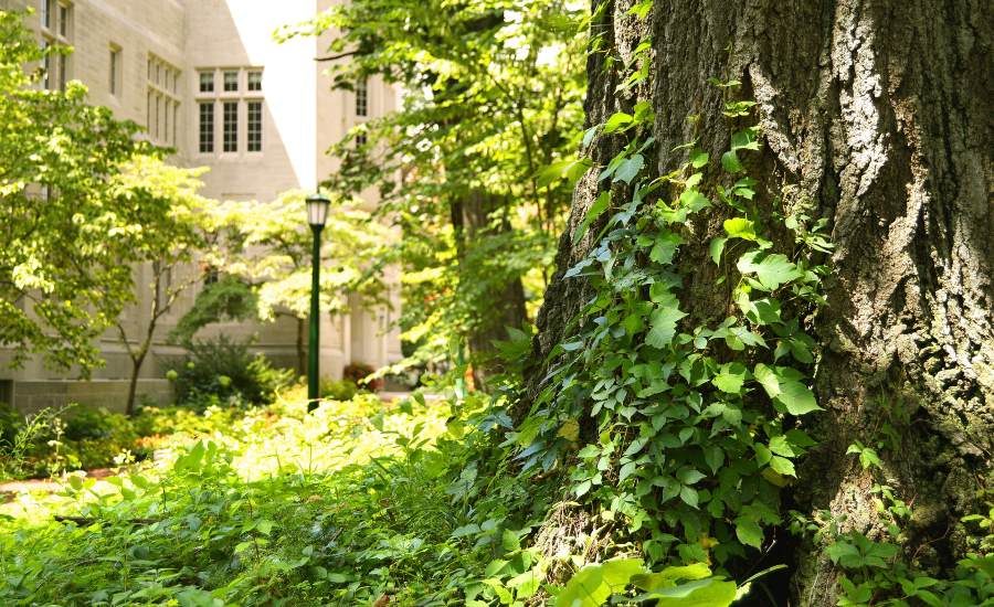 Davenport University named safest campus in Michigan 20210730