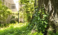 Davenport University named safe campus