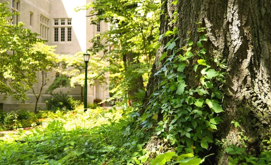 Davenport University named safe campus