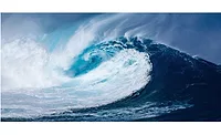 natural disaster relief for non profit